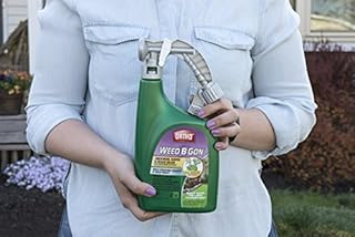 Ortho Weed B Gon Chickweed, Clover and Oxalis Killer for Lawns Ready-To-Spray, Kills Creeping Charlie, 32 fl. oz.