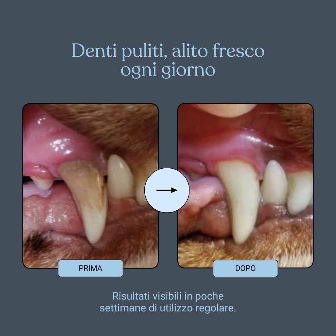 Bàu Kit Igiene Orale Cane Completo – Polvere Antiplacca con Ascophyllum Nodosum + Dentifricio Spray – Rimuove Tartaro, Alito Fresco, Denti e Gengive Sane Senza Spazzolino