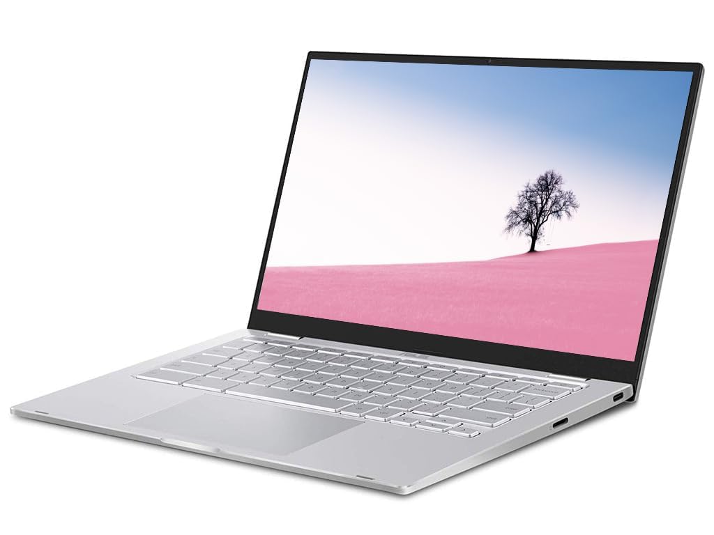 ASUS Chromebook C425T Portátil empresarial, 14 Pulgadas (1536