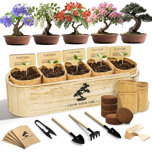 LUOJIBIE Bonsai Tree Kit for Beginners - Unique DIY Japanese Bonsai Trees,Crafts for Adults, Ideal Gardening Birthday Gift for Women & Men,Complete Indoor Plant Kit