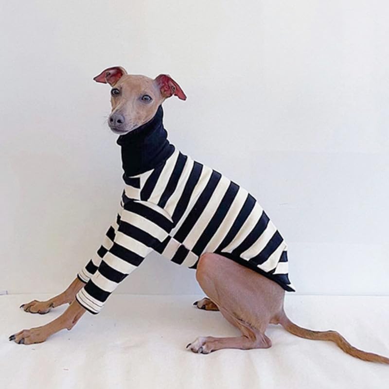 IMOSEI Hondenjas, Winter warme jas Whippet Greyhound dikke jas huisdierkleding Lingtons Italiaanse Greyhound fleecekleding middelgrote grote hondenkleding (Color : groente, Size : M