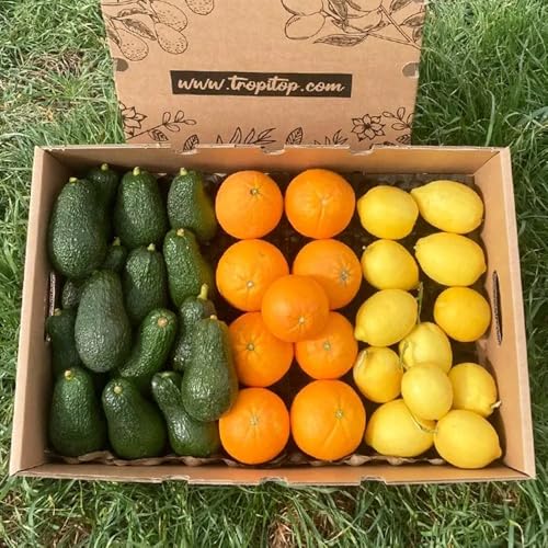 Pack de Aguacate Hass, Naranjas y Limones 6 kg (2kg de cada fruta) | Frutas frescas cultivadas en Castellón de forma sostenible y enviadas directas del campo