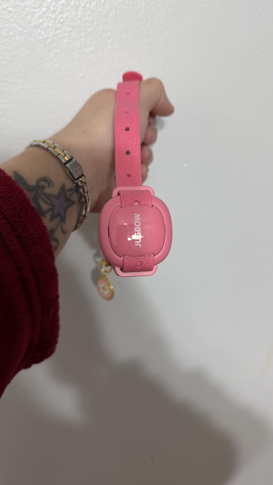 Jugbow Small Dog Training Collar