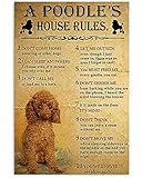 Photo Gallery signchat simpatico piccolo cane barboncino marrone per casa d?cor regalo adorabile per mamma divertente decorazione artistica da parete poster decorazione da parete cartello in metallo 20,3 x 30,5 cm Photo Gallery signchat simpatico piccolo cane barboncino marrone per casa d?cor regalo adorabile per mamma divertente decorazione artistica da parete poster decorazione da parete cartello in metallo 20,3 x 30,5 cm