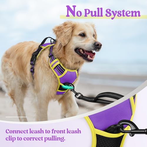 Image of rabbitgoo Dog Harness No Pull with 2 Leash Clips, Adjustable Soft Padded, Reflective Oxford No Choke Pet Vest with Easy Control Handle for Medium Sized Dogs, Purple & Yellow, M