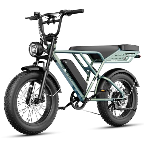 Jasion RetroVolt Pro Electric Bike with 2000W Motor