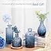 TBWIND 12Pcs Blue Glass Bud Vases Set, Small Vases for Flowers, Perfect for Centerpieces at Parties, Baby Showers, Weddings, Events, Graduation Season, Great Gifts for Office & Home Décor