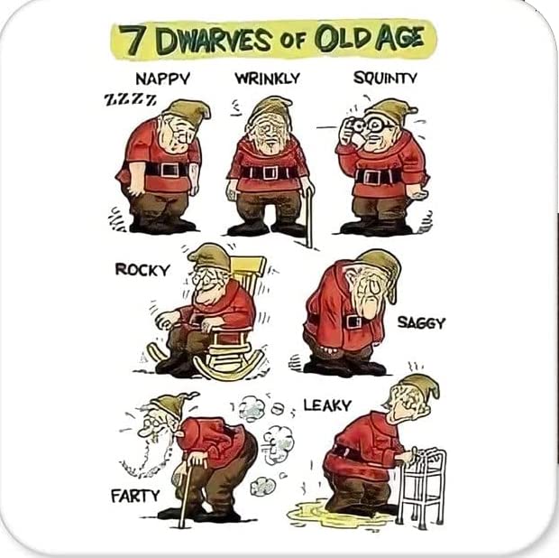 Seven 7 Dwarves Of Old Age - Funny 10cm Square Solid Glass Coaster