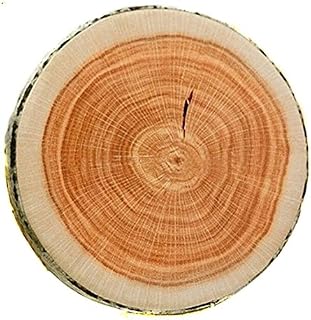 VWH Round Woods Grain Soft Plush Chair Seat Cushion Pillow Stump Shaped Decorative Pillows (dia.13cm, high 43cm.)