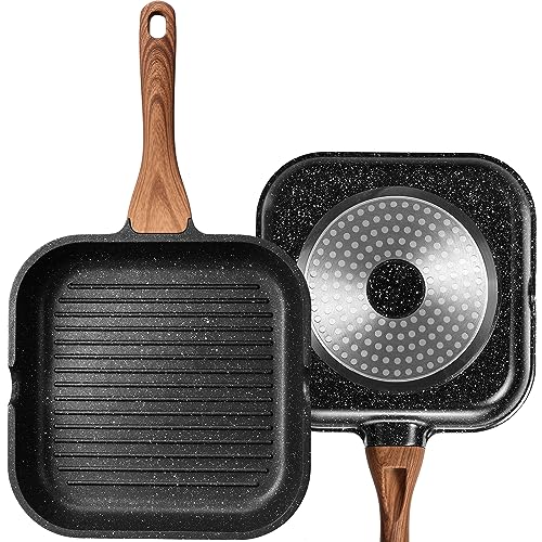 Top 10 Best Pans For Induction Stove Reviews & Buying Guide Katynel