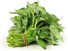 Spinaci d'acqua, kangkong, spinaci di fiume, spinaci cinesi o crescione d'acqua - 15 g di semi