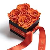 ROSEMARIE SCHULZ Heidelberg