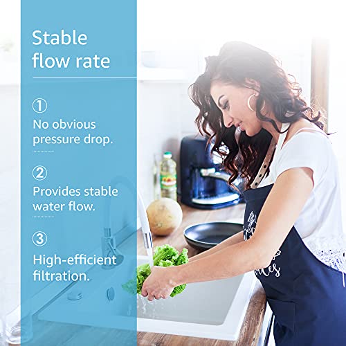 image for AQUACREST F-1000 Undersink Water Filter, Model No.WF03-F1, Replacement