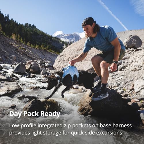 Ruffwear Palisades Dog Backpack