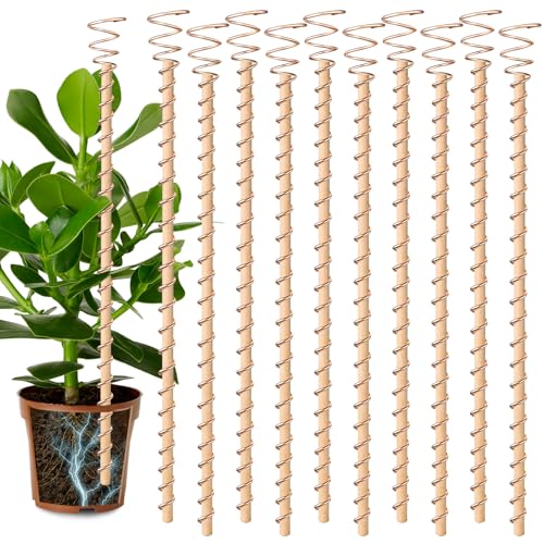 10pcs Electroculture Plant Stakes 17 Copper Coil Wire Antennas Garden Stakes Tensor Rings Kit Copper Rods Electronic Planting for Growing Vegetable Garden Plants Support