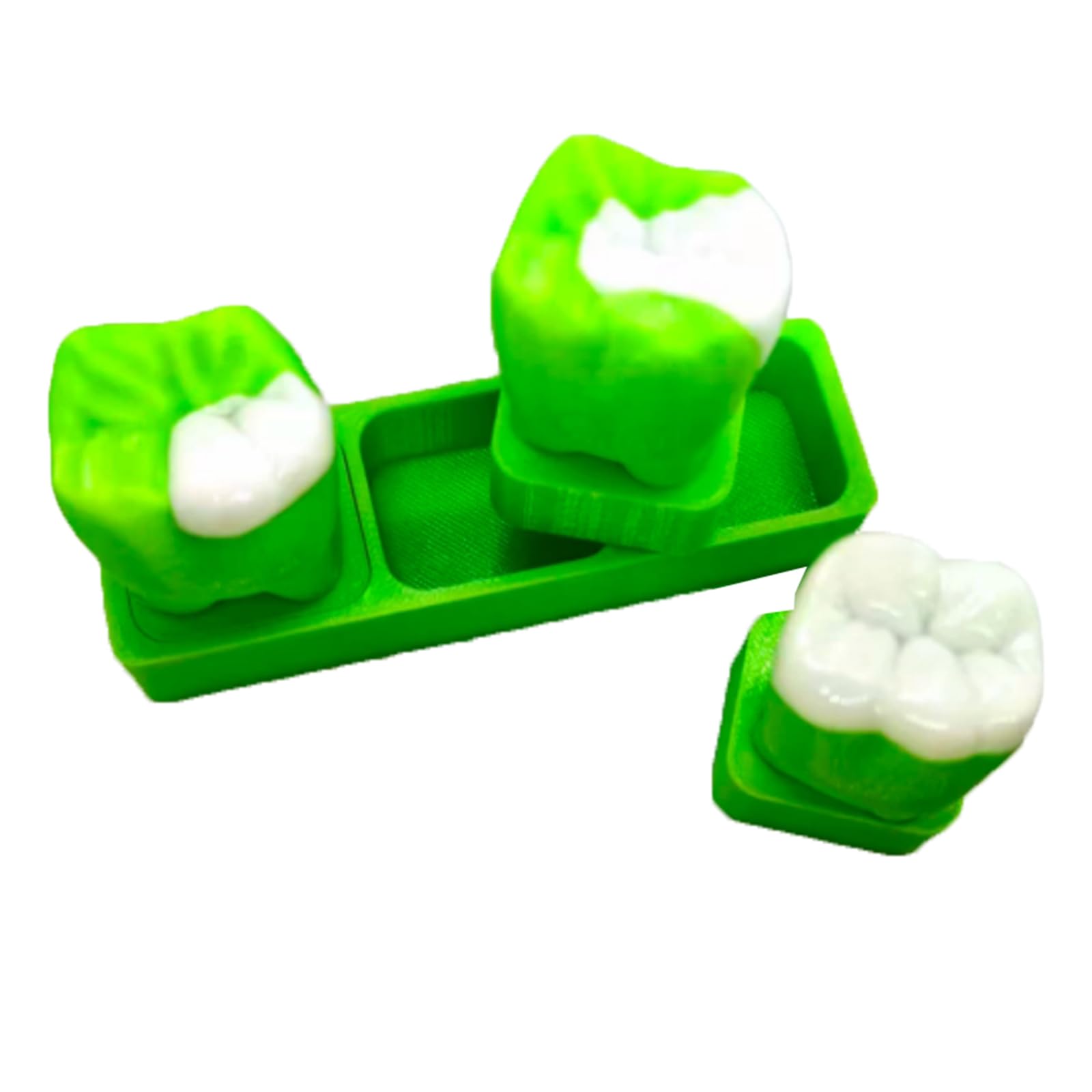 YRQMGSF 6X Teeth Model Inlay Display Model,Dental Teeth Care Model,Dentistry, High Inlays, Gifts for Dentists,Green