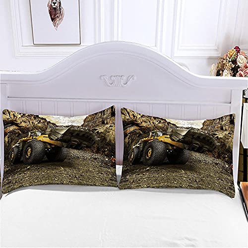 EWGYH Funda De Edredón Estampado 3D 150X220Cm Microfibra para Adolescentes Niños Y Niñas Carretilla Elevadora Pájaro Juego De Funda De Edredón Transpirable Suave