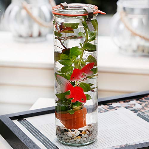 vdvelde.com - Waterworld Bluppys Goldfisch - 2 handbemalte Plastik Goldfische 5 x 2 x 2 cm