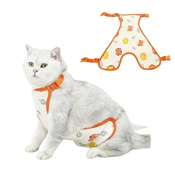 犬と猫の診療基本手技 上巻・下巻セット　裁断済み 犬と猫の診療基本手技 上巻 #裁断済み