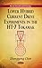 Produktbild Lower Hybrid Current Drive Experiments in the HT-7 Tokamak (Physics Research and Technology)