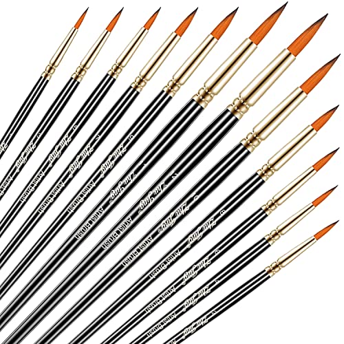 Acrylmalpinsel Set, SAREAL 12 Stück Verschiedene Größen Nylon Haar Runde Spitze Detail Malpinsel für Acrylmalerei, Öl, Aquarell, Modelle, Stoff Cover