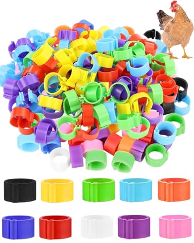 KEMUZ 100 Stück hühnerringe GeflüGel FußRinge mit bunter,BrieftaubenfußRing KleingeflüGel Klemmringe HäHnchen Beinringe Taubenring,für Enten Küken Huhn Meertauben Gans Wildgeflügel Pute,10mm
