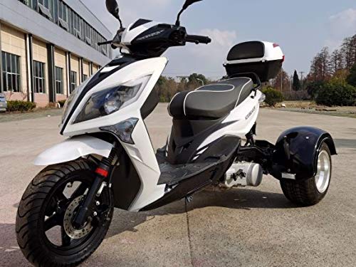 icebear 150cc トライク Ice Bear MOJO Z 150 Trike - 150cc Automatic Transmission - Pioneer
