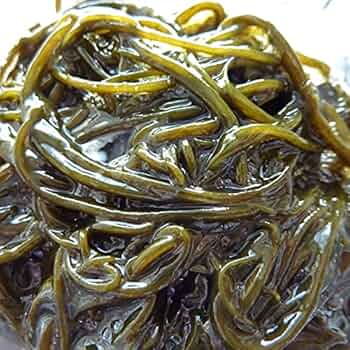 517FEikrsiS._AC_UF350,