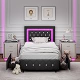 Twin Bed Frames with LED...