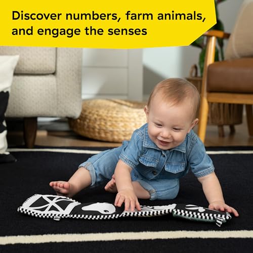 Image of Baby Einstein Farm Explorers Counting at the Farm Soft Activity Book, Multisensory, for Tummy Time, Ages 0+ Months