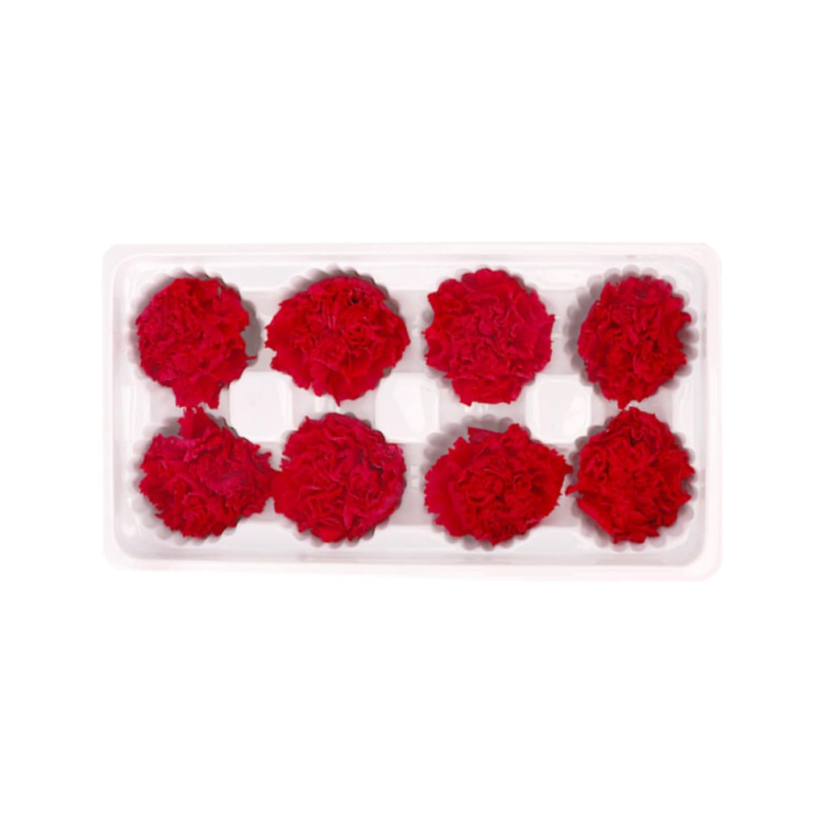 Obsequio romántico de clavel rojo Abaodam, 8 flores secas para un aniversario inolvidable