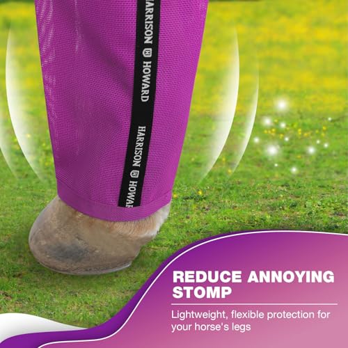 Image of Harrison Howard Loose-Fitting Horse Fly Boots UV-Protective, Breathable, Tear-Resistant Fine Mesh Leggins Stay-on Comfortable Fly Boots with Ultra-Soft Wool Trim (Set of 4) Purple Cob (Medium)