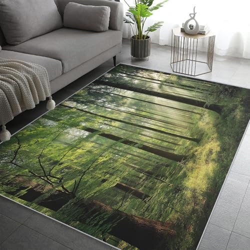 Tapis de salon lavable et antidérapant : la solution pour l'entrée et la table - 3