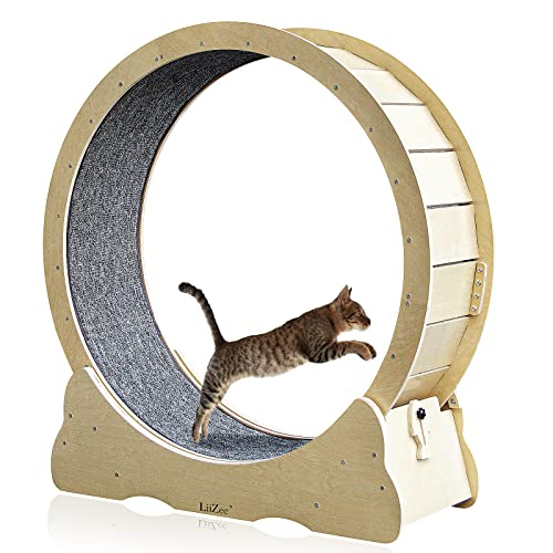 LiiZee Cat Exercise Wheel for Indoor Cats, Diameter 39.4" Cat Runing Wheel for Cats, Sturdy Cat Treadmill Wheel with Locking Mechanism,Stable&Quiet Running for Cat's Healthy