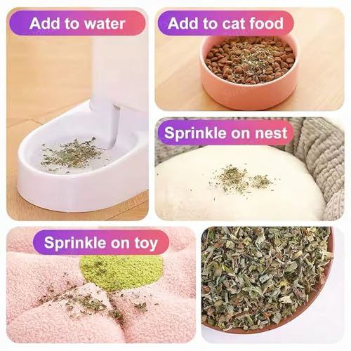 Image of Sunkizzrs Natural & Organic Catnip Jar (160ml) for Cats & Kitten (Non-Addictive & Safe) - Catmint Leaves Used on Toys and Scratchpads - Stimulate Playful Behaviour for Cats & Kittens