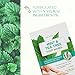 Skin 2.0 Tea Tree & Mint Foot Masks - Fights Athlete's Foot, Detoxifies & Exfoliates, Cooling & Relaxing - Dermatologist Tested Korean Skincare - Clean Beauty, Cruelty-Free, All Skin Types - 3 Pairs