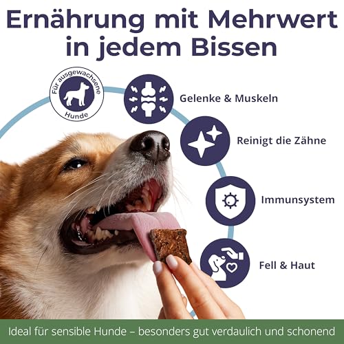 ECO WOOF Fisch Hundeleckerli - Getrocknete Wels Chips 97% mit Bierhefe - 375 g - Getreidefrei - Single-Protein - Mit Omega 3 - Unterstützt stabile Darmflora & Verdauung - Nicht fettend & Geruchsarm