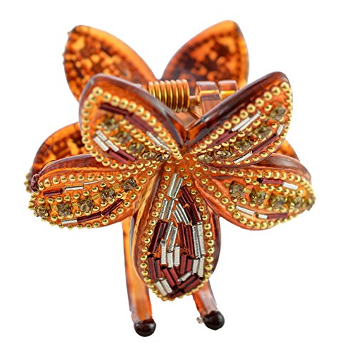 Buy Hair Clips Online at Low Prices in India Amazon Jewellery Store