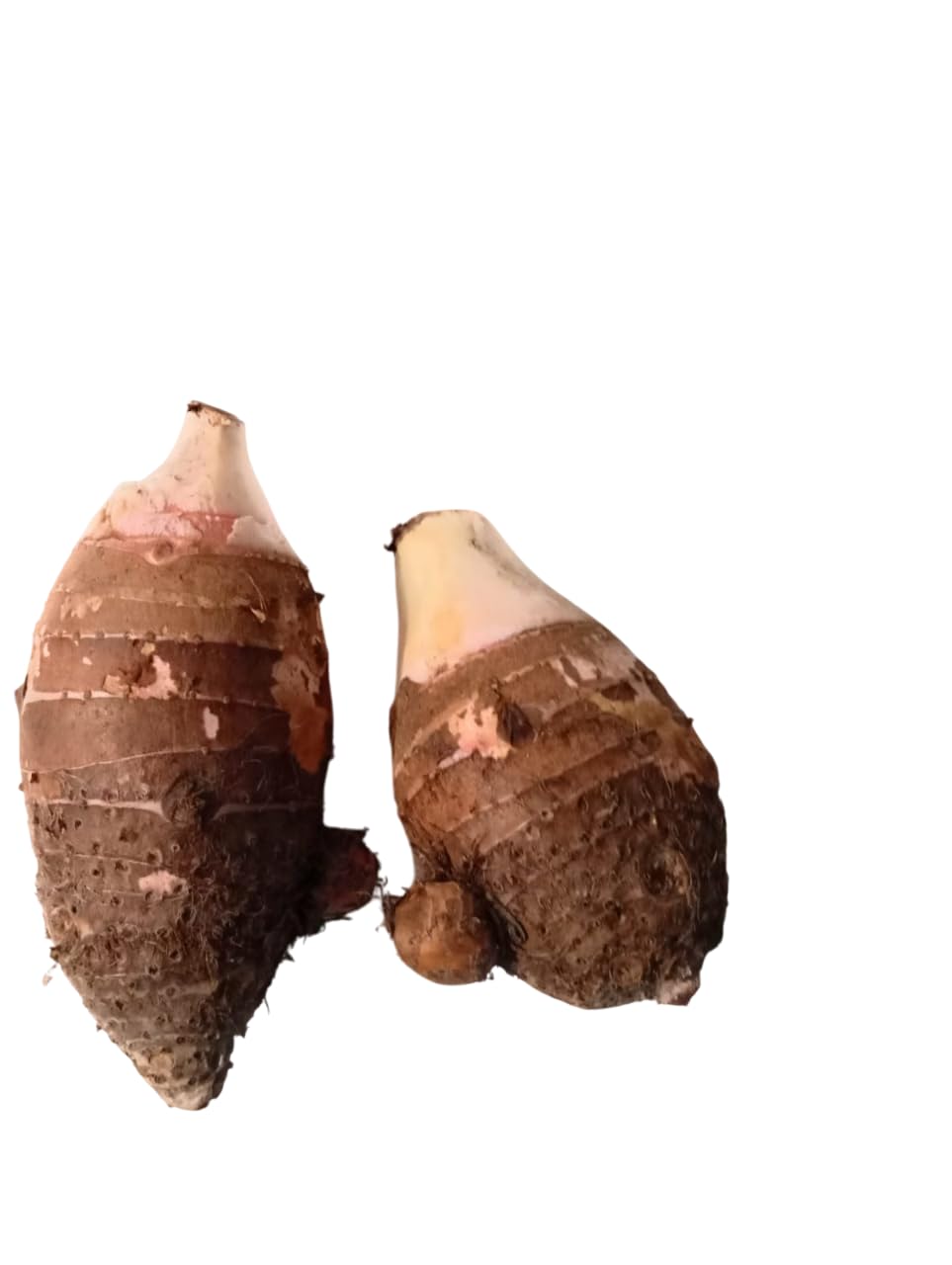 Bhuli Store Pahadi Gaderi/Taro/Arbi Pink 1kg from Uttrakhand, India