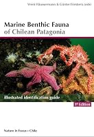 Marine Benthic Fauna of Chilean Patagonia 9563322444 Book Cover