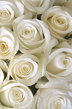 White Roses: In The Garden Journal/Notebook/Diary