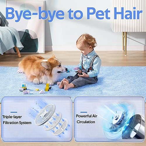 Portable Dryer for Clothes, 8.8 lbs Capacity Front Load Compact Laundry Dryer with LCD Display and Stainless Steel Drum, 850W Electric Dryer Machine for Apartment, Home, Dorm, RV, Blue