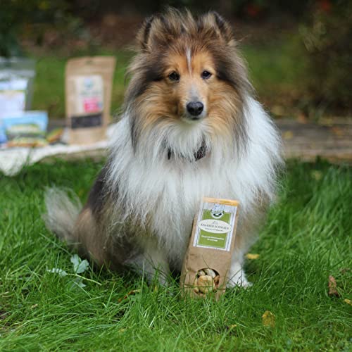 Bellfor Knabber-Schmaus Getreidefrei Hundekekse mit frischem Kaninchenfleisch – 100 g. Glutenfreie Hundeleckerli, geeignet für Hunde mit empfindlichem Magen. Hundekekse zur Zahnpflege