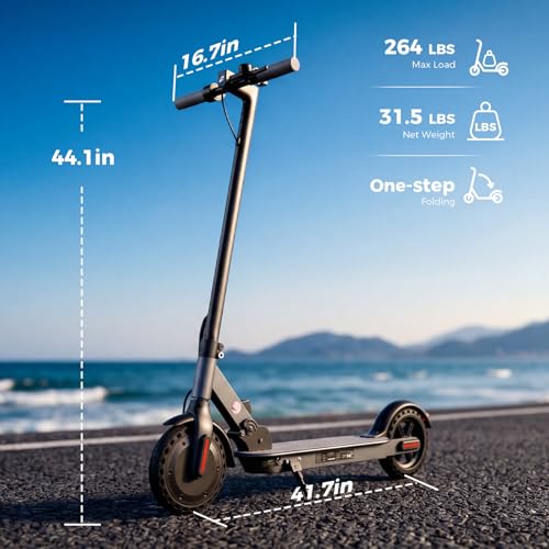 Oslich Electric Scooter