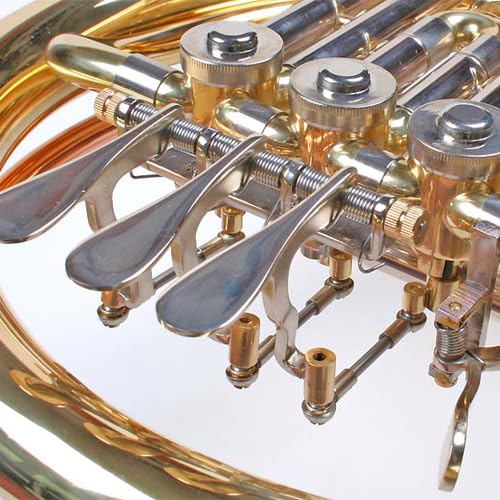 French Horn, B Waldhorn, Goldmessing Mundrohr, 4 Zylinderventile, Abnehmbarer Schallbecher, Koffer