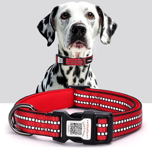 Collier chien rouge M réfléchissant QR code | Sécurité nocturne