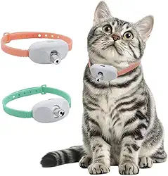 Colar Brinquedo Laser para Gatos Animais de Estimação, USB LED Coleira Estimulação Inteligente e Automática para Entretenimento Felino (Verde+Rosa)