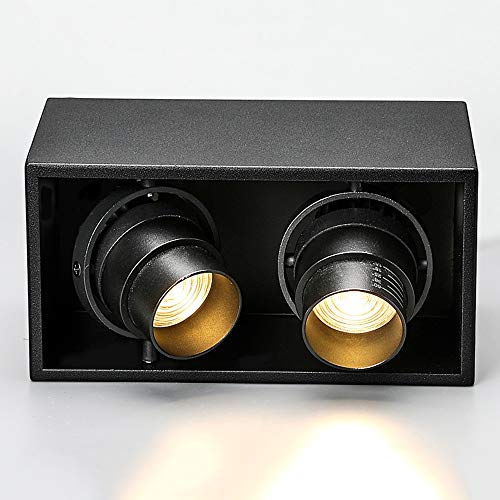 Lighting luz de Techo, 10w Doble Cabezal Foco led Giratorio de 360 ​​​​° Techo 3000/4000k Foco Luces de Techo led Ajustables iluminación de Acento Downlight lámparas de Pared rectangulares para