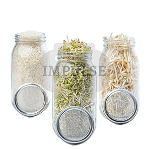 Impulse Green Seeds kiemglas voor kiemen, kiemglas met deksel, standaard, houder en kiemschaal, 3 x grote glazen voor broccolisproeten, kiemscheuten, biologische zaden, glas, micro groen