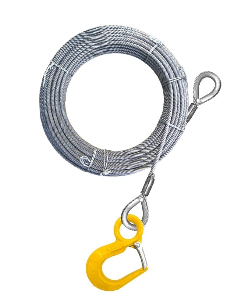 コハウチワカエデ/山採り天然木【現品発送】管理70339 山採り